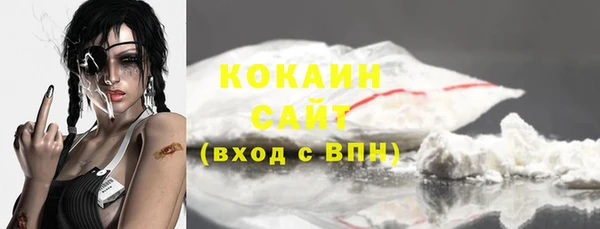 PSILOCYBIN Ладушкин