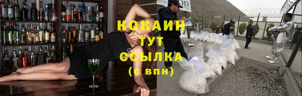 PSILOCYBIN Ладушкин