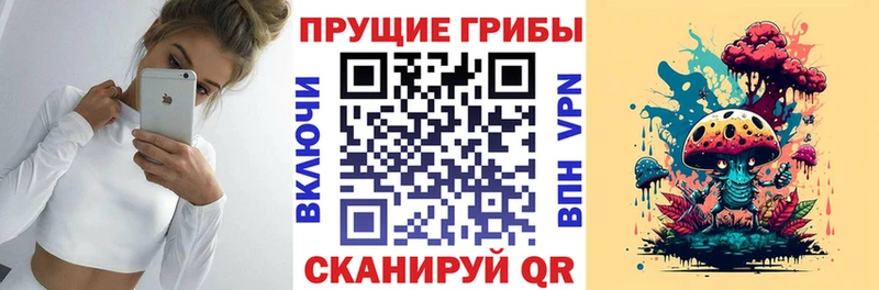 KRAKEN зеркало Далматово Псилоцибиновые грибы Psilocybe